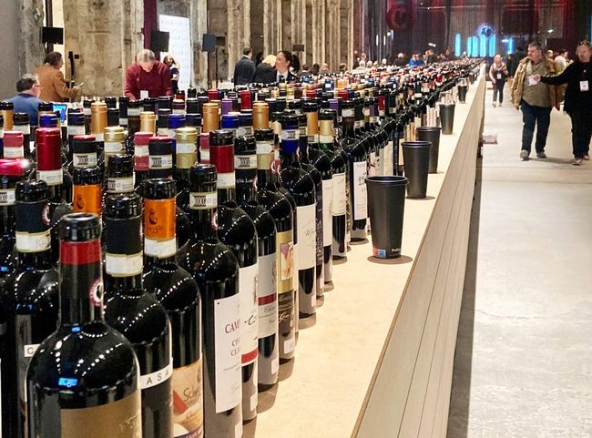 © Daniela Dejnega Traum aller Chianti-Liebhaber*innen