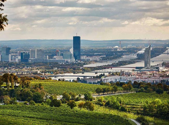 © Mayer am Pfarrplatz Blick vom Nussberg zur Donau (Symbolfoto)