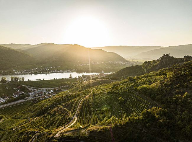 © Domäne Wachau