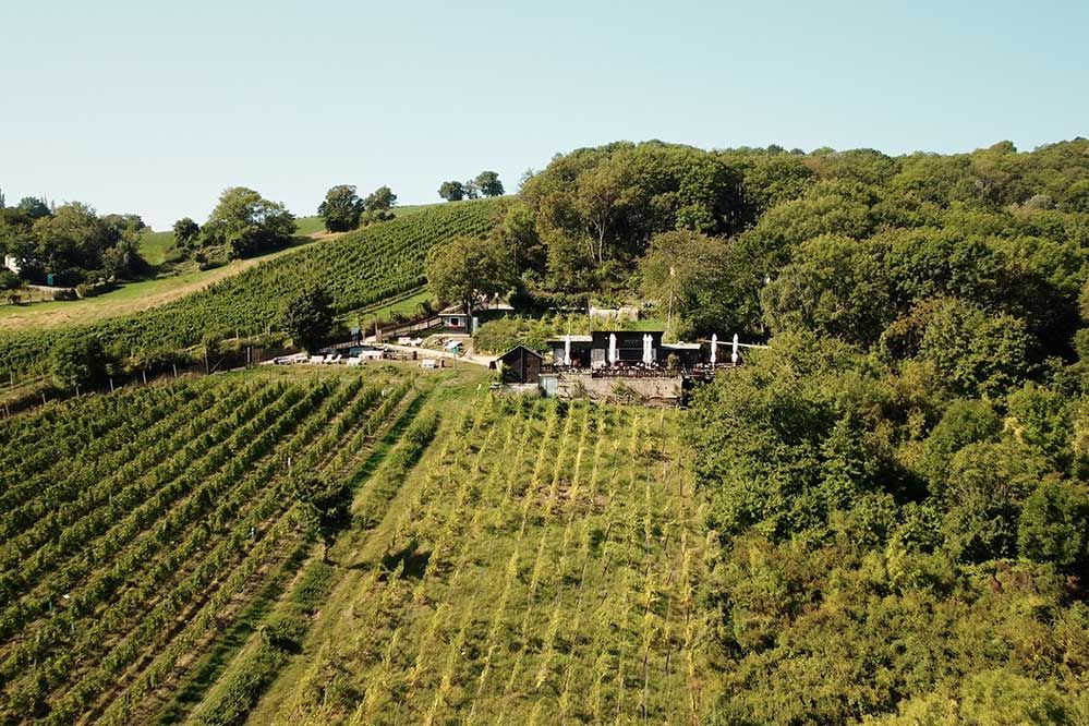 Idyllische Lage mitten im Weinberg