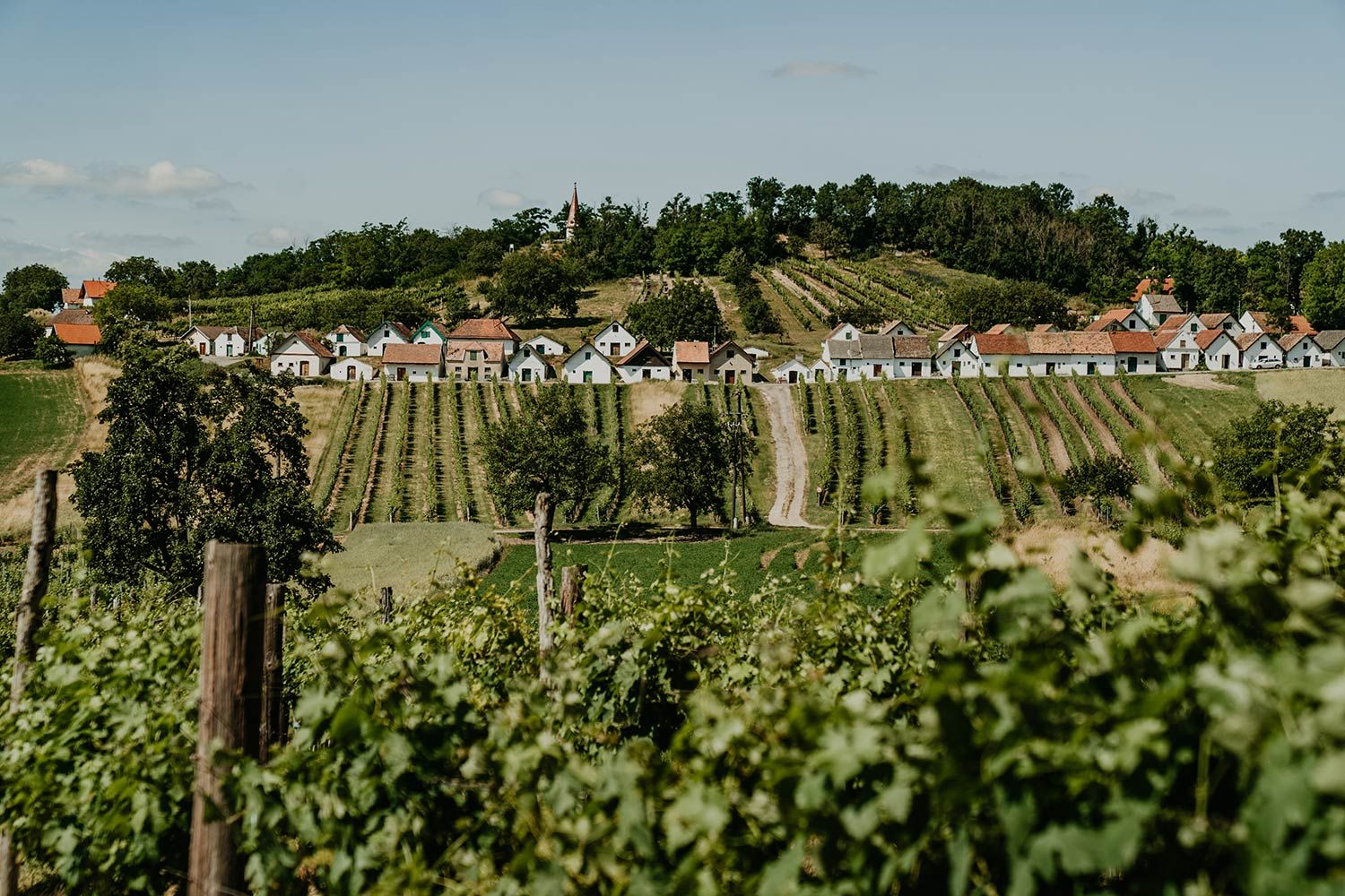 Weinviertel DAC verlängert die Kellergasse in Ihre Nähe