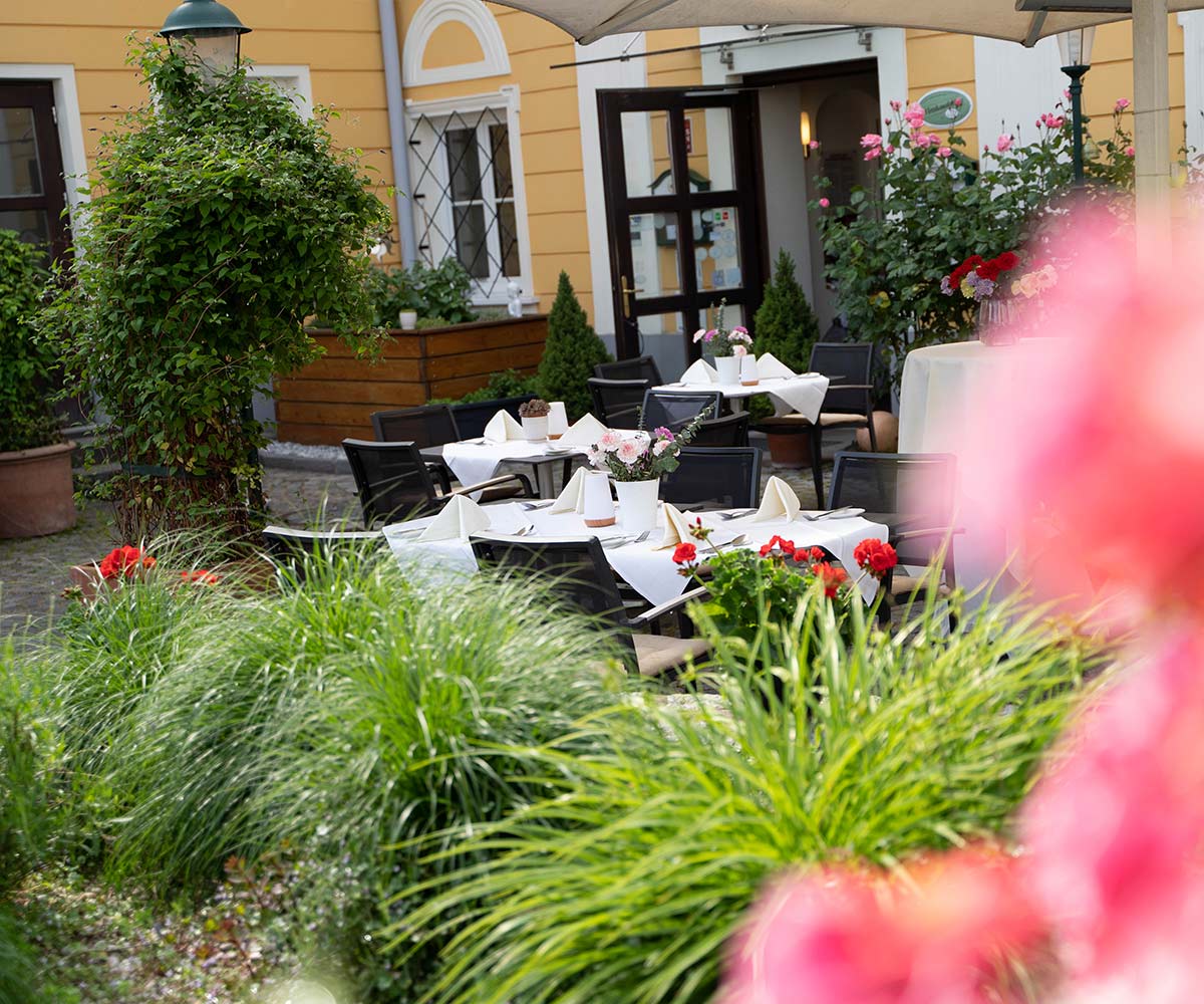 Babenbergerhof - Restaurant - Ybbs an der Donau - 2025 - Gault&amp;Millau